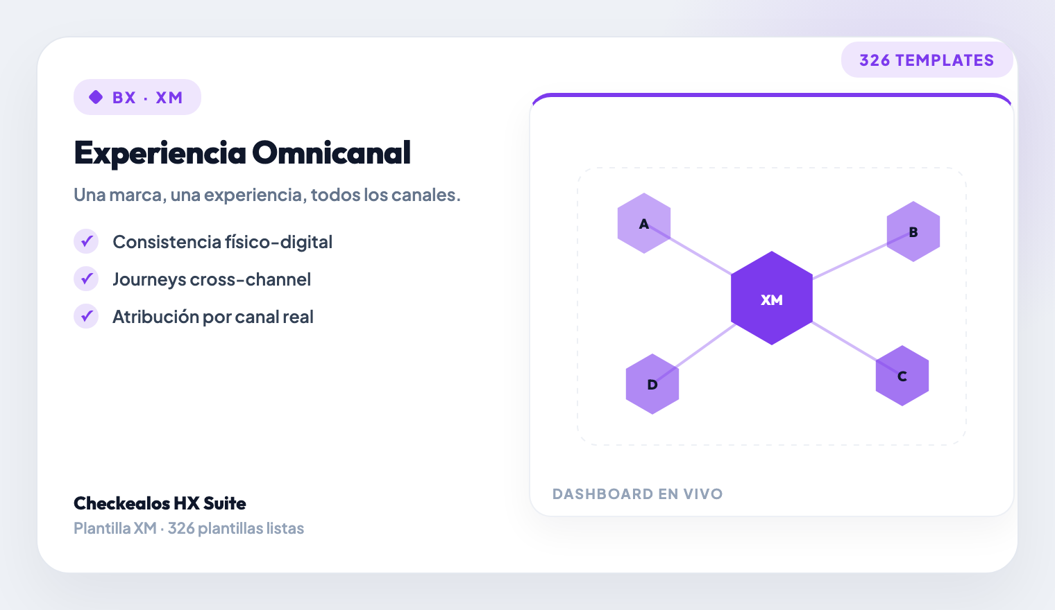 Brand Experience & Omnichannel