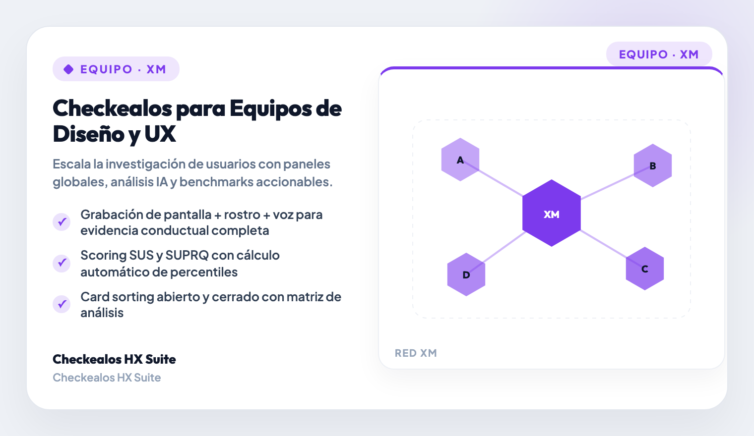 Cross-Platform Experience Auditing